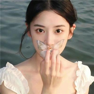 陆昭昭的刺客笔记